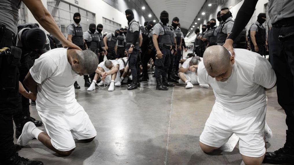 Foto de migrantes deportados por Estados Unidos al Cecot. Los migrantes aparecen hincados y han sido rapados; los guardias los inmovilizan. Están enmascarados.