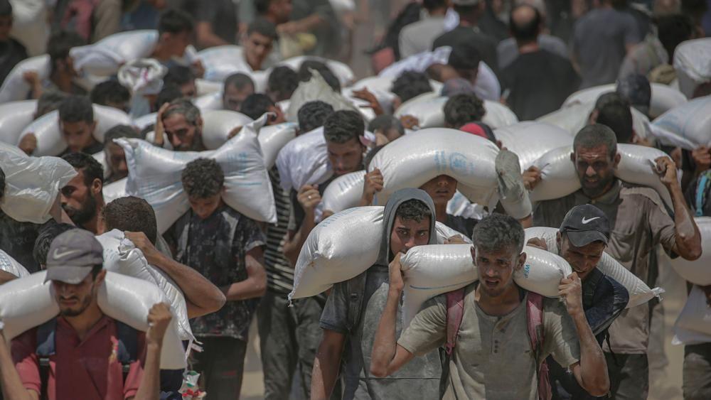 Malnutrition in Gaza at alarming levels, WHO warns as aid airdrops resume 