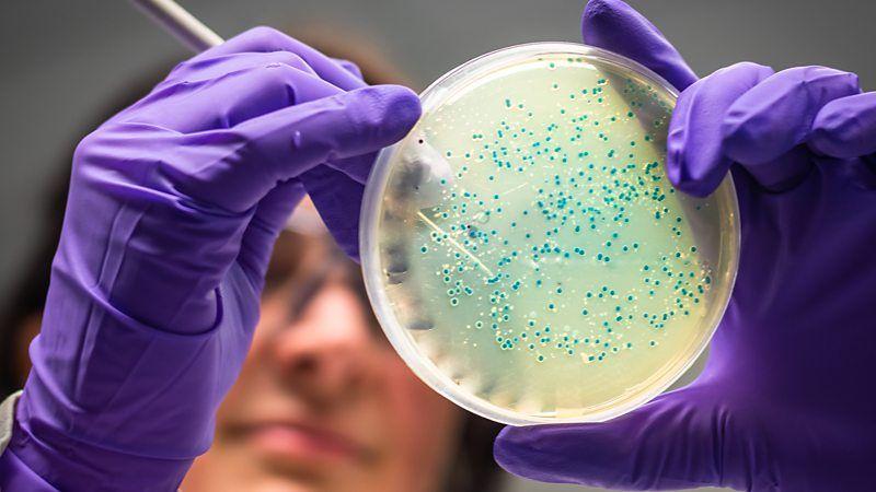 Jovem manuseia placa com luvas em laboratório