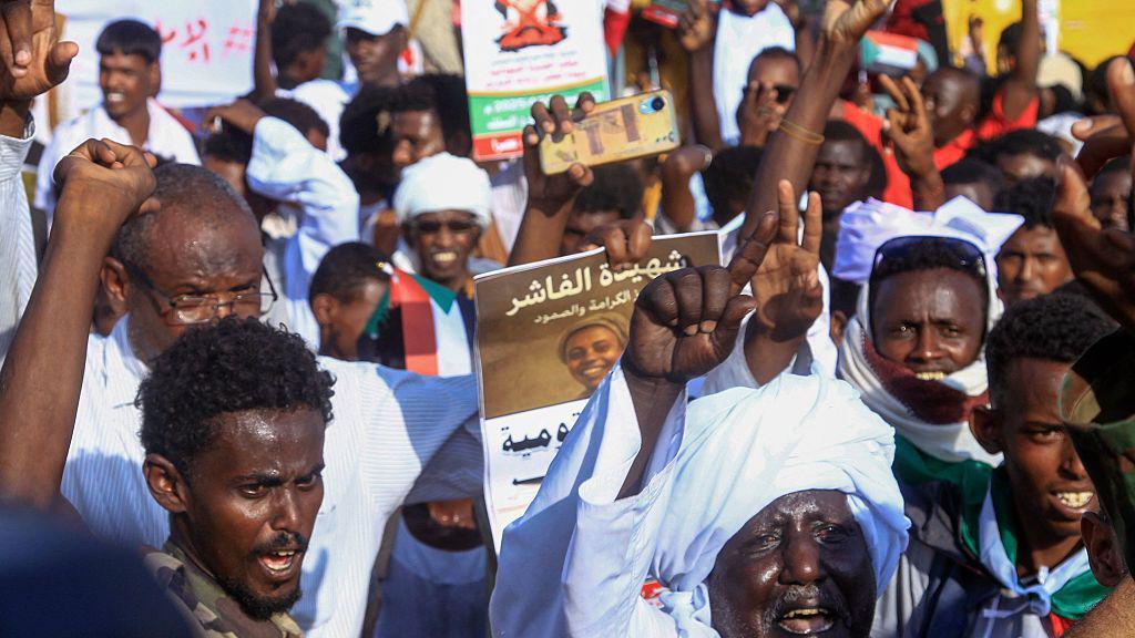 سودانيون رجال يحملون يافطات وأعلام السودان. مكتوب على إحدى اليافطات "شهيدة الفاشر…".