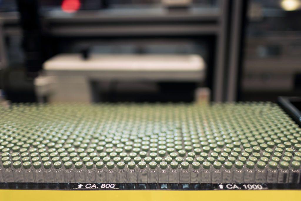 Cientos de frasquitos de GLP-1 en una fábrica