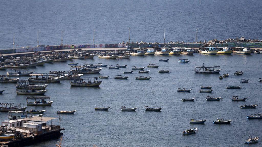 قوارب الصيادين الفلسطينيين تصطف في الميناء الرئيسي لمدينة غزة، 12 نوفمبر/ تشرين ثاني 2019