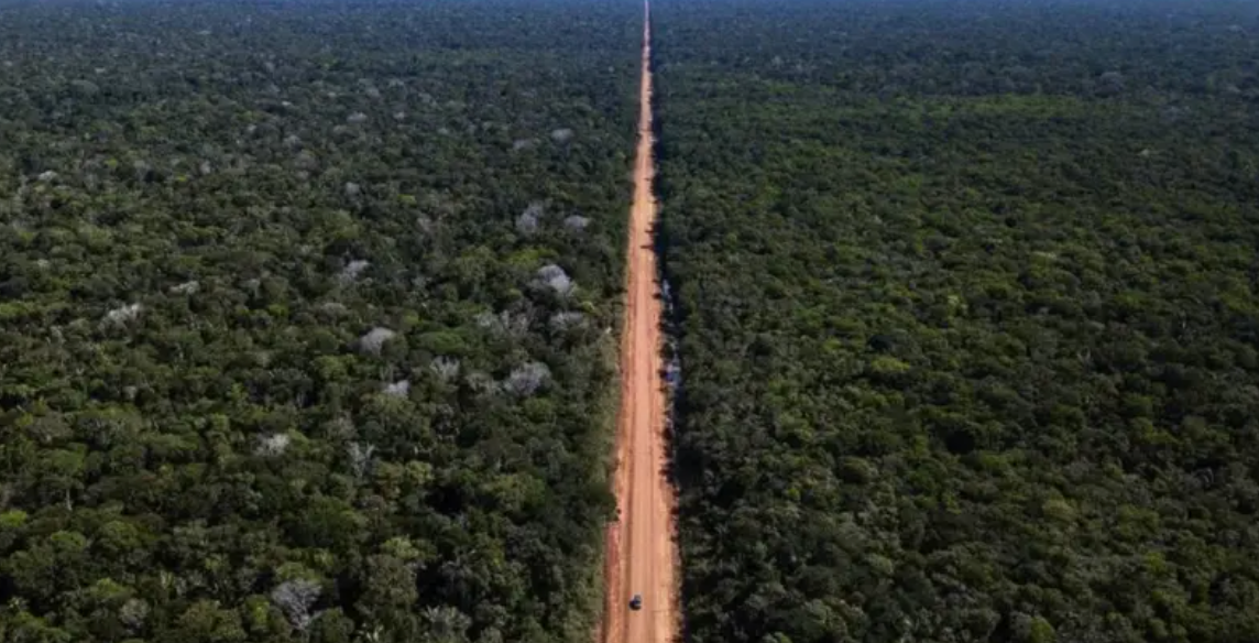 Foto do leito de terra batida da rodovia BR-319 , localizada entre Rondônia e Amazonas, cruzando a floresta amazônica