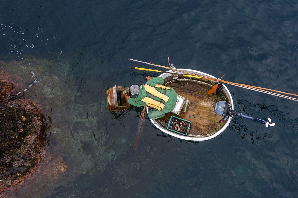 En esta imagen tomada con un dron, Yasuhisa Sakuma, de 66 años, mira a través de un visor submarino mientras pesca pulpos y moluscos desde su embarcación tipo bañera en la isla de Sado, Japón.