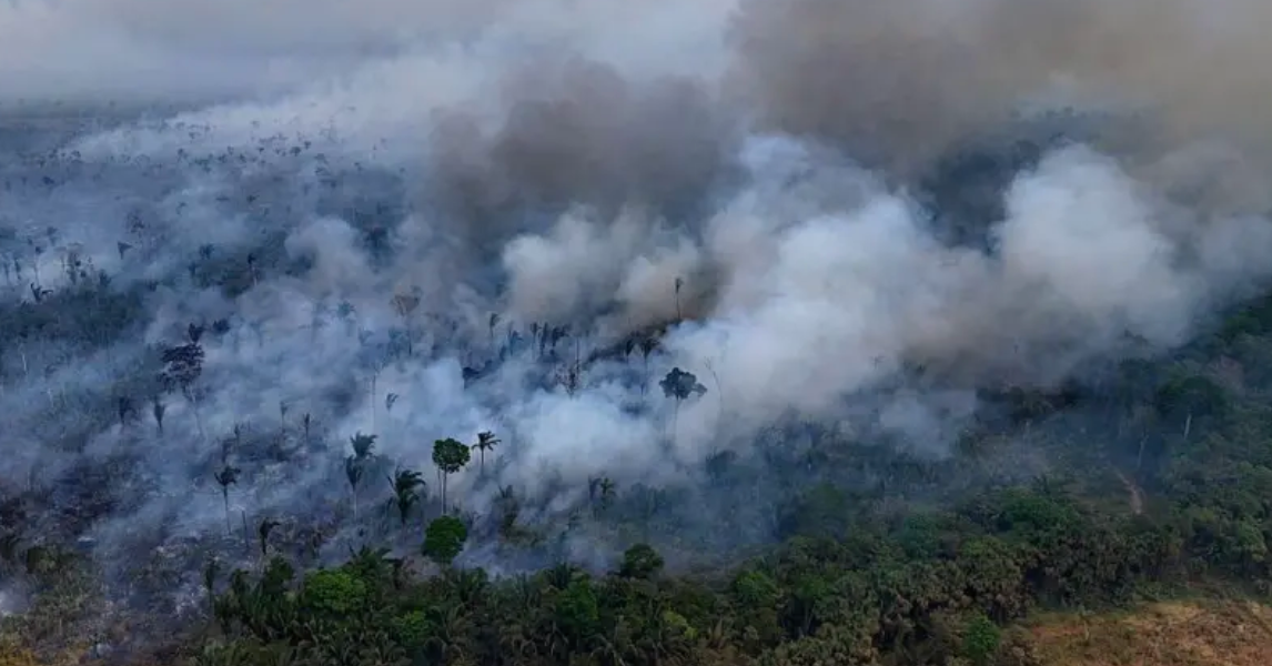 Floresta tropical coberta de fumaça de queimadas