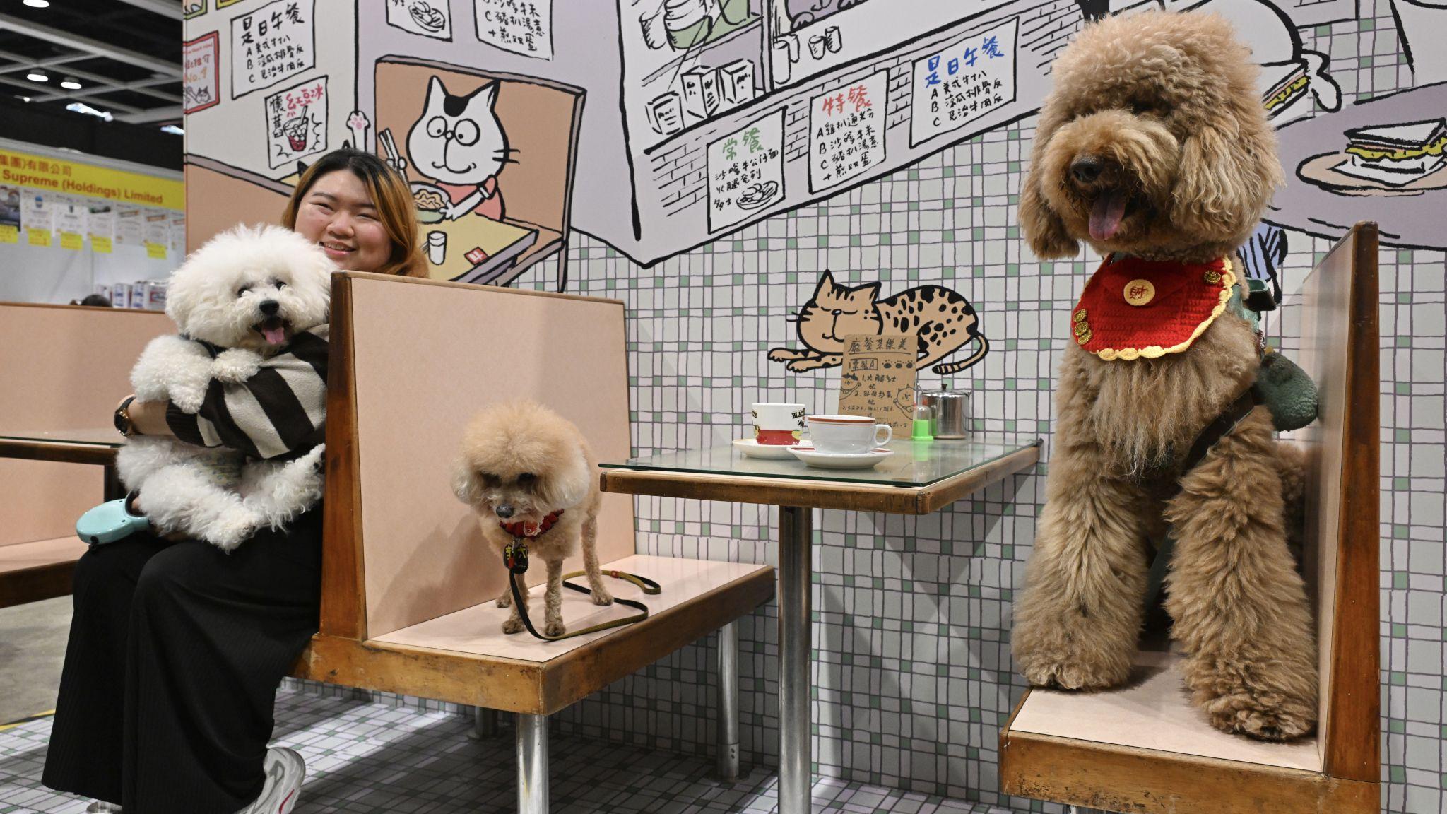 香港會展中心一場寵物展覽上一位女士與三隻寵物犬在模擬茶餐廳「卡位」餐桌上拍照（中新社圖片29/1/2026）