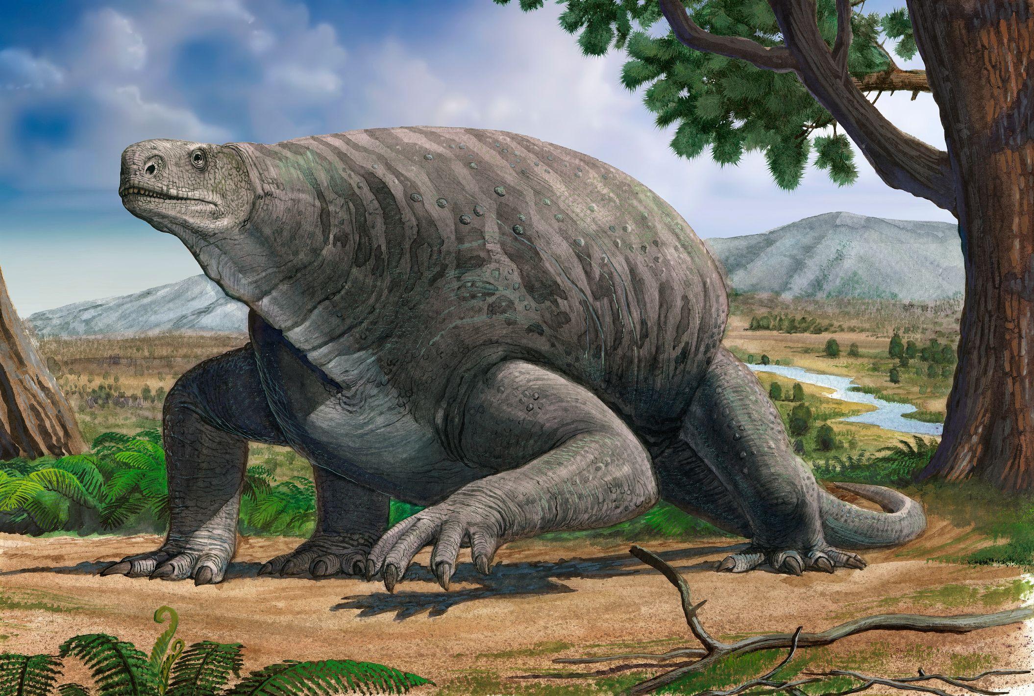 Una ilustración de cómo pudo verse Cotylorhynchus, un gran herbívoro del Pérmico.