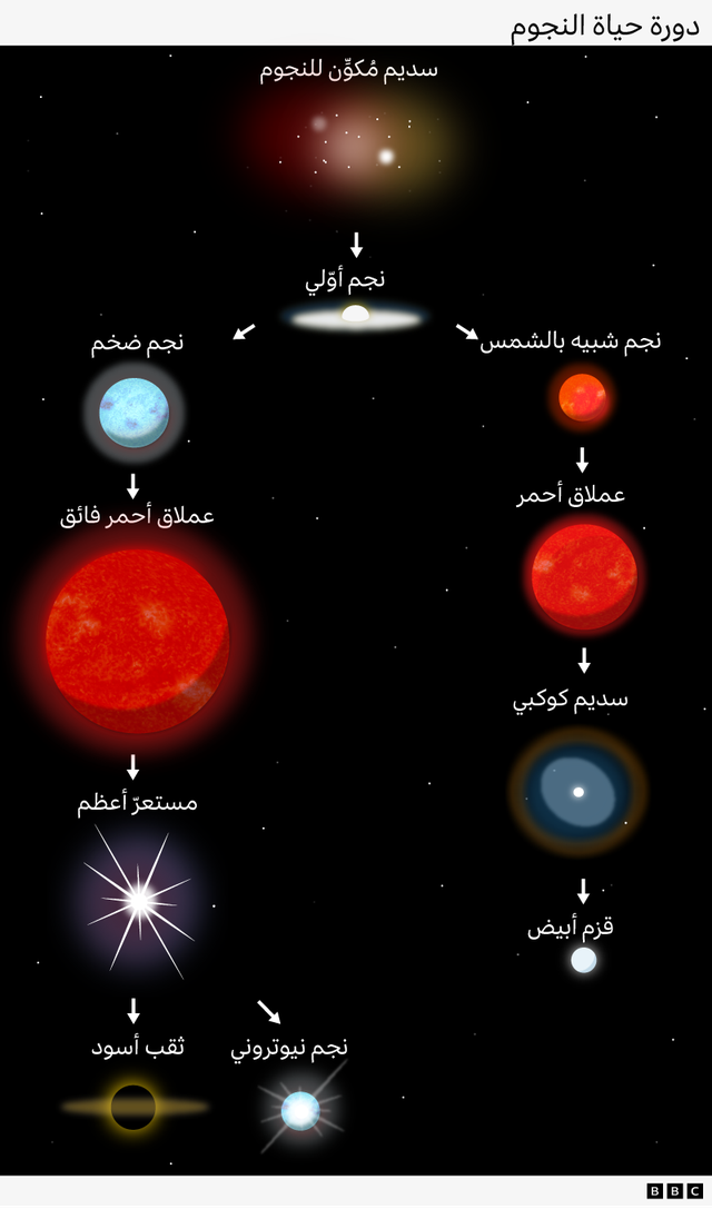 مخططٌ يوضّح دورة حياة النجوم: يبدأ بسديمٍ مُكوِّن للنجوم يُنتج نجماً أوّلياً، يمكنه أن يسلك أحد مسارين. فإذا تحوّل إلى نجمٍ ضخم، يصبح عملاقاً أحمر فائقاً، ثم ينفجر في مستعرٍّ أعظم يؤدي إلى تكوّن ثقبٍ أسود أو نجمٍ نيوتروني. أمّا إذا أصبح نجماً شبيهاً بالشمس، فإنه يتحوّل إلى عملاقٍ أحمر، ثم إلى سديمٍ كوكبي ينتهي بتشكّل قزمٍ أبيض.
