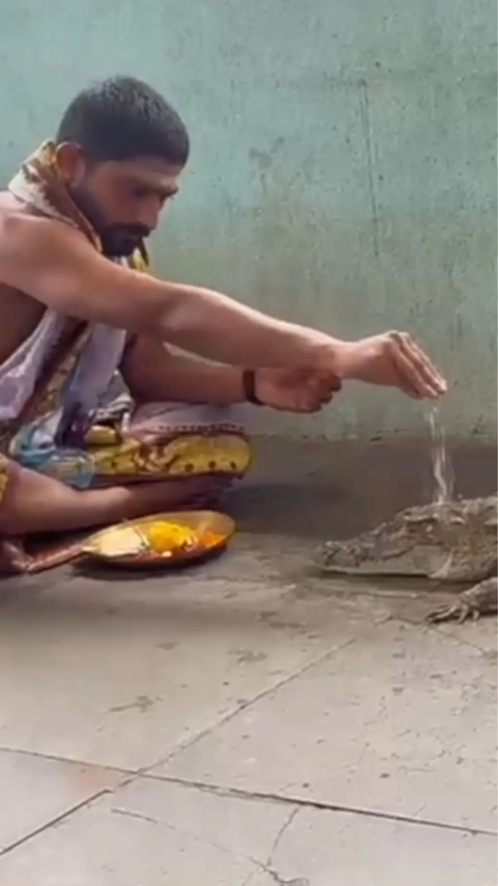 முதலை