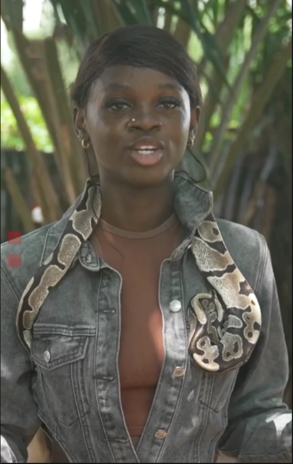 Taiwo Okikiola (Omo elejo tawọn eeyan tun maa n pe ni Ifa lejo). O gbe ejo ejo kan k'ọrun.