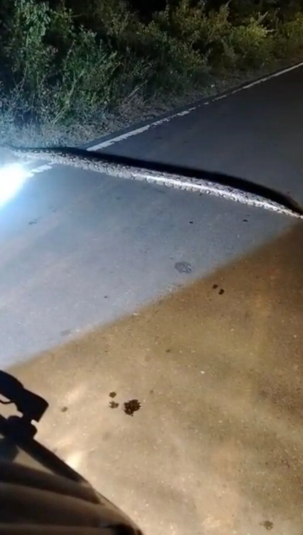 පොළොන්නරුව, තිස්සපුර ප්‍රදේශයේදී පාර මාරු වෙමින් සිටි අඩි 12ක් පමණ දිග පිඹුරෙකු කැමරාවක සටහන් වූ අයුරු මෙහි දැක්වේ.