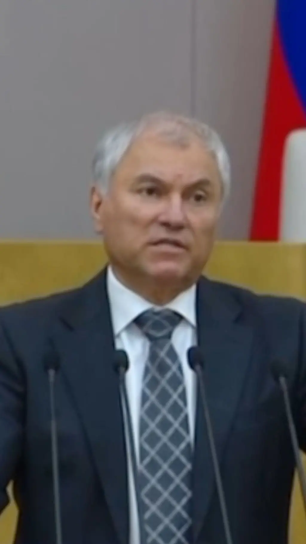 Вечеслав Володин