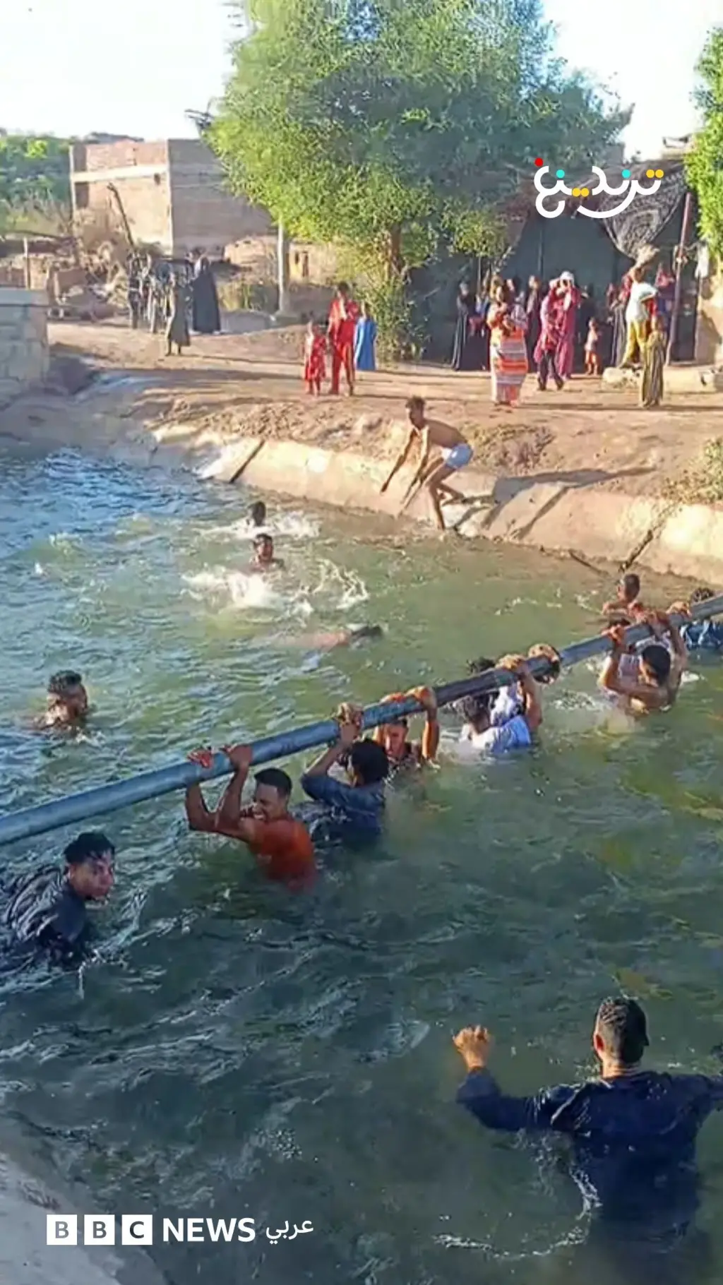  "حنة" في الترعة هربا من الحر بمصر