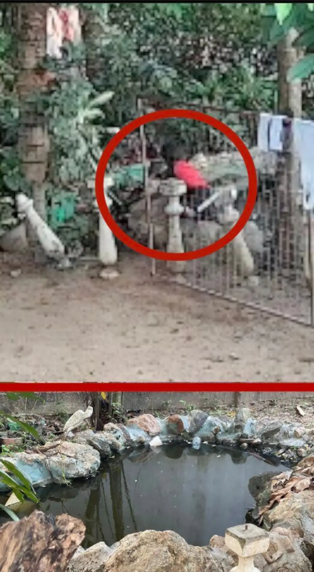 රතු පැහැති ටී ෂර්ට් එකක් ඇඳ සිටින දරුවෙකු පොකුණකට බසින ආකාරය පෙනෙන අතර එම පොකුනේ විශාල කළ ෆොටෝ එකක් පහතින් තිබේ.