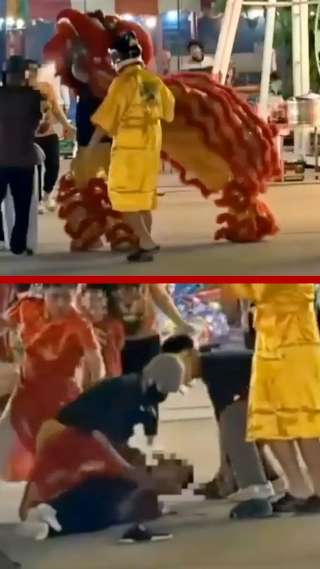 සොරෙකු අල්ලා ගැනීමට, පොලිසිය සිංහ ඇඳුමින් සැරසී රහසිගතව ගිය අයුරු