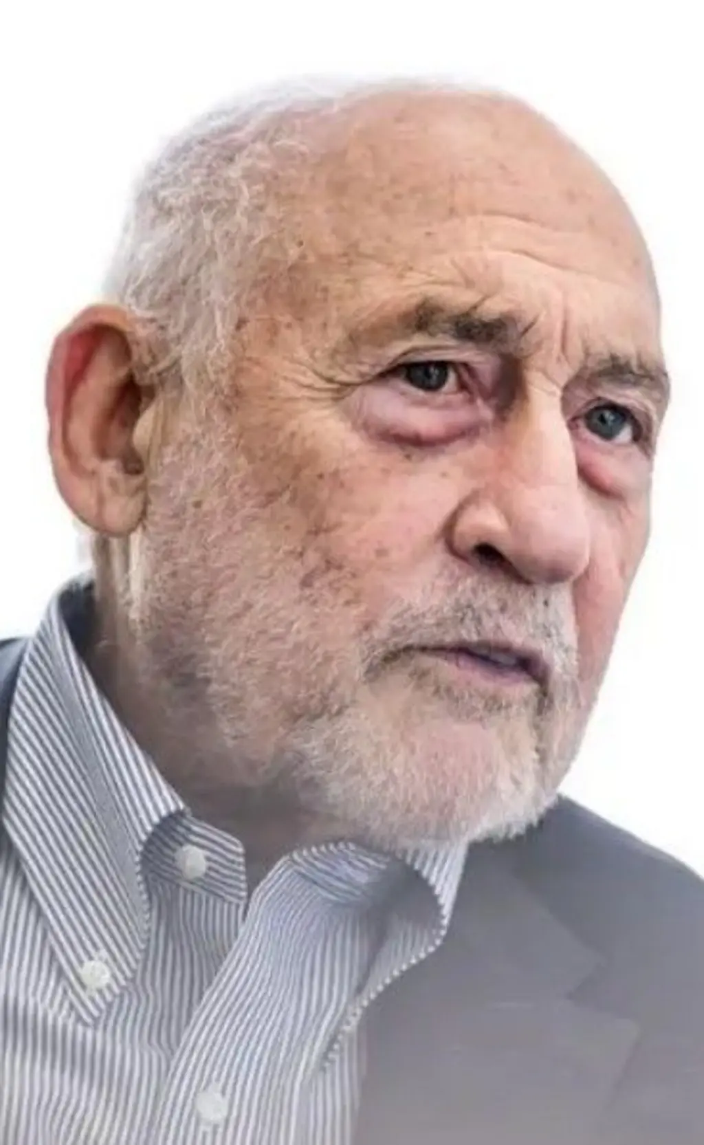 Joseph Stiglitz tem cabelos e uma barba grisalha. Ele usa uma camisa listrada com botões.