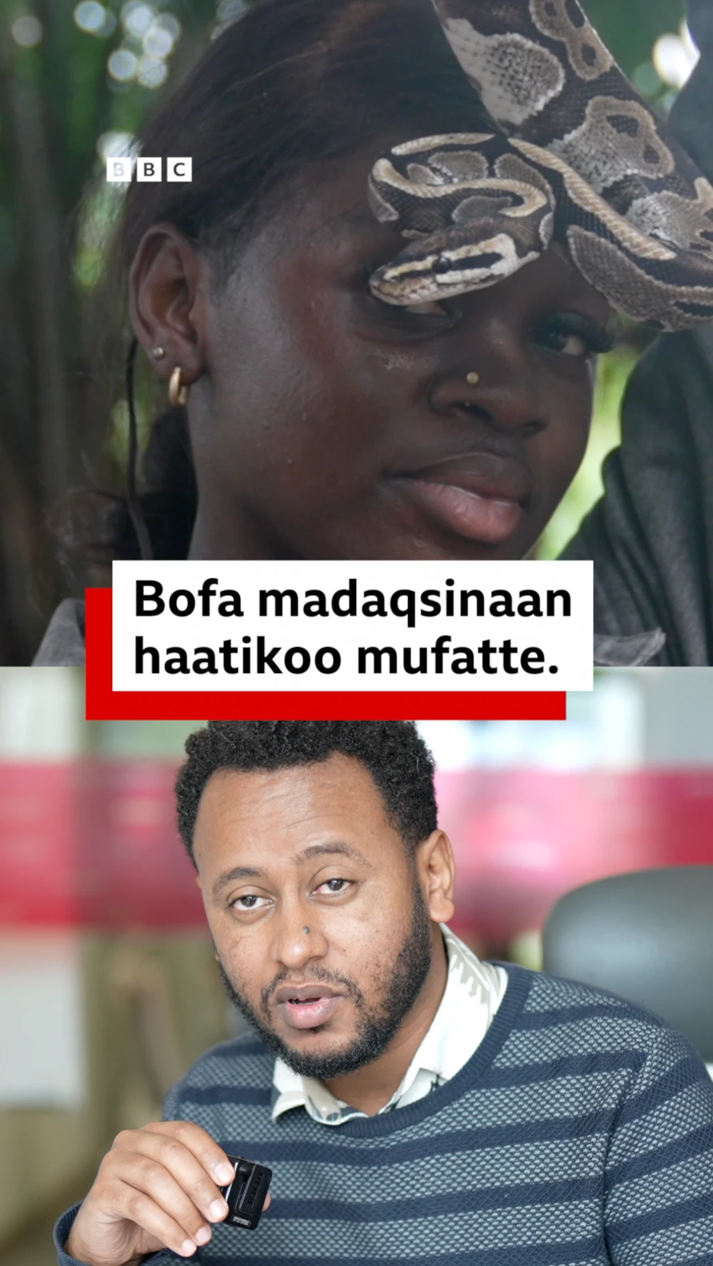 Dubartii bofa madaqsitu