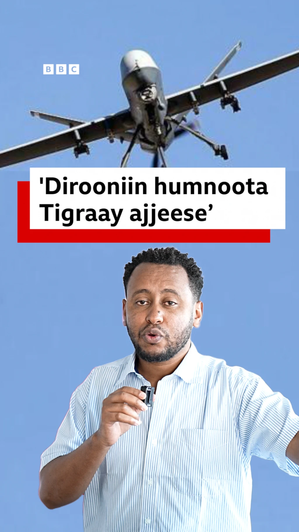 Haleellaa diroonii Naannoo Tigraayitti