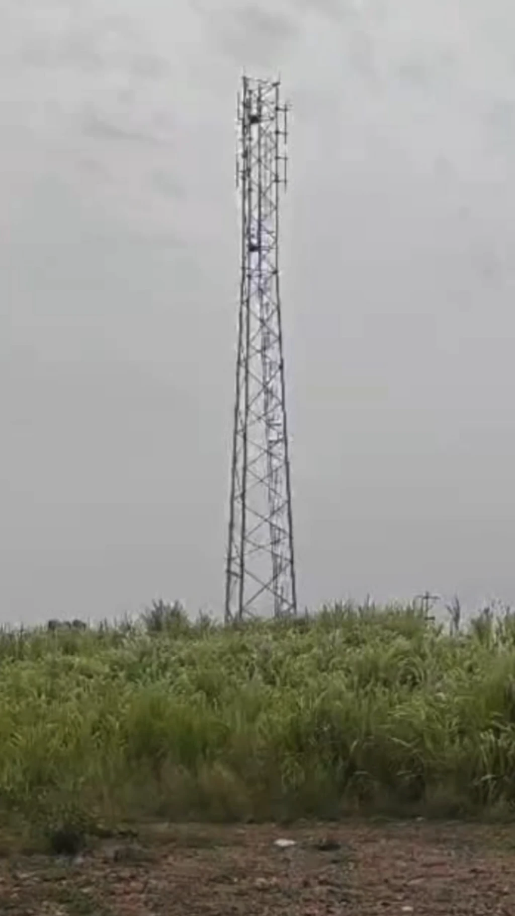 ટાવર, ચોરી, મોબાઈલ, ગુજરાત