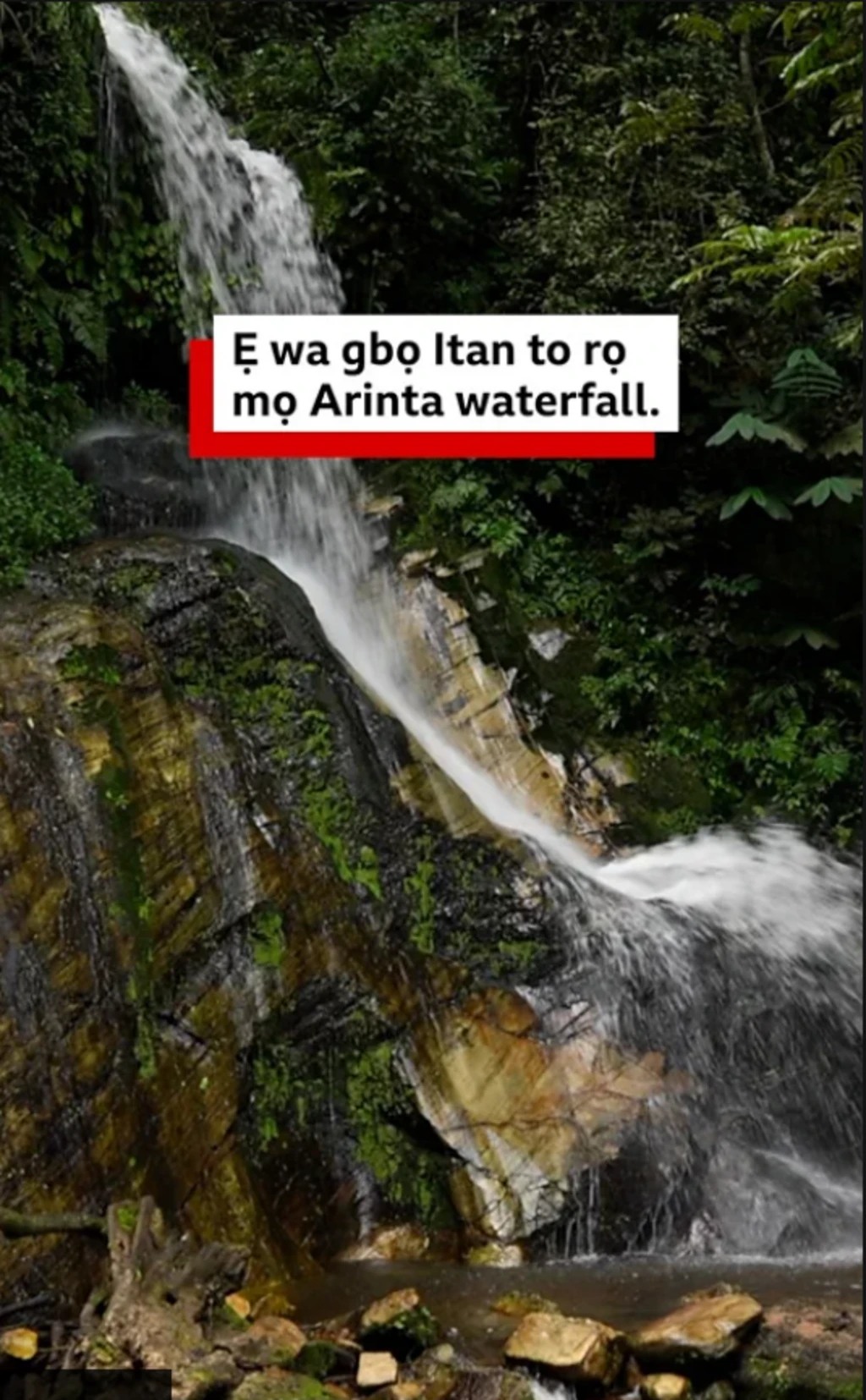 Arinta ni ipinle Ekiti