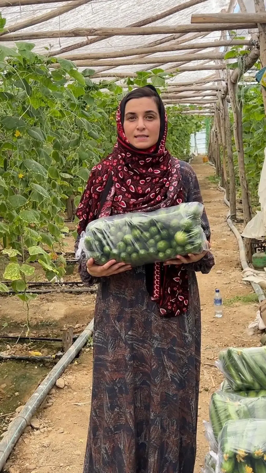 تصویر گزارشگر 