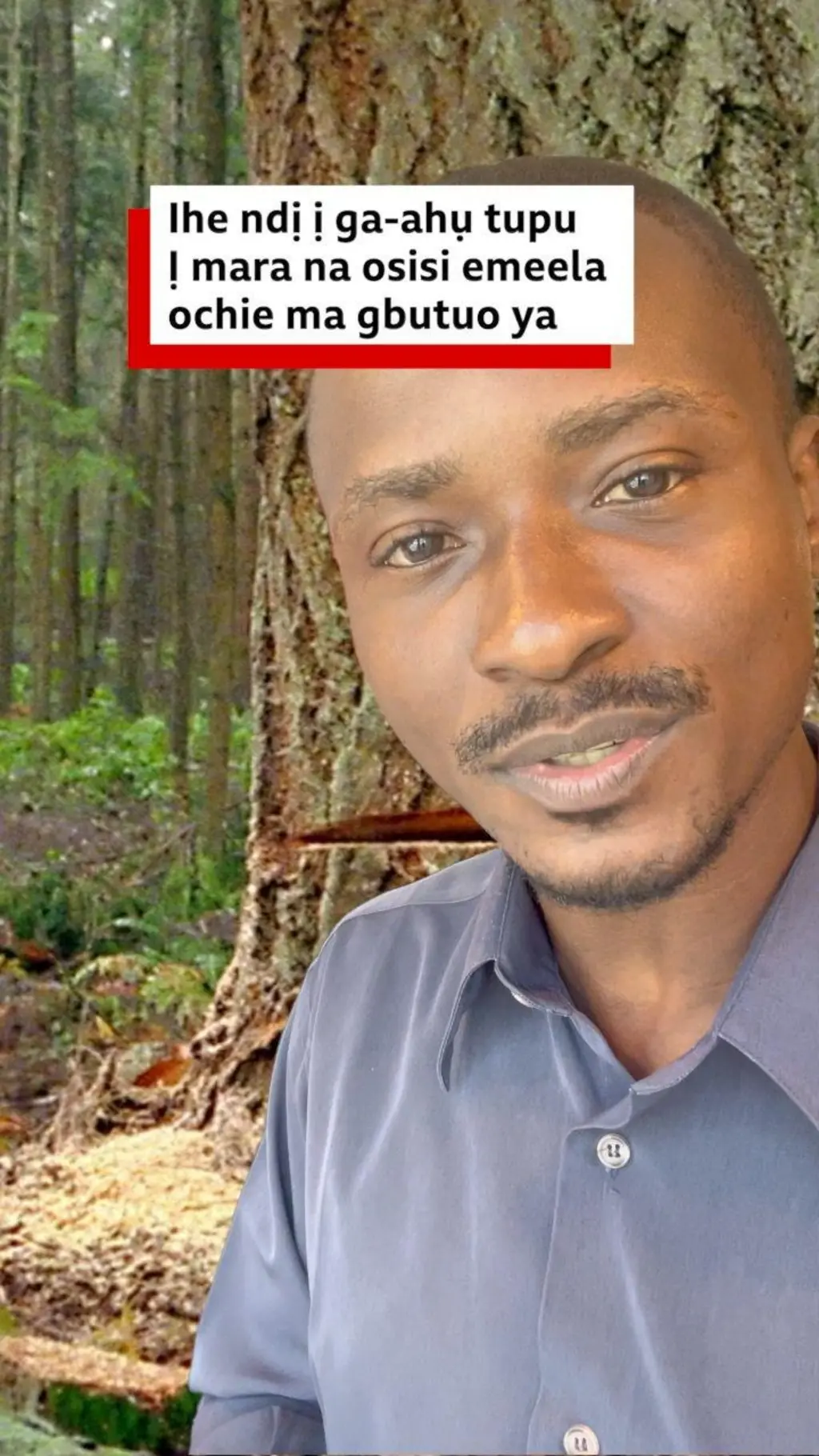 Onye ntaakụkọ BBC Marvelous Obomanu