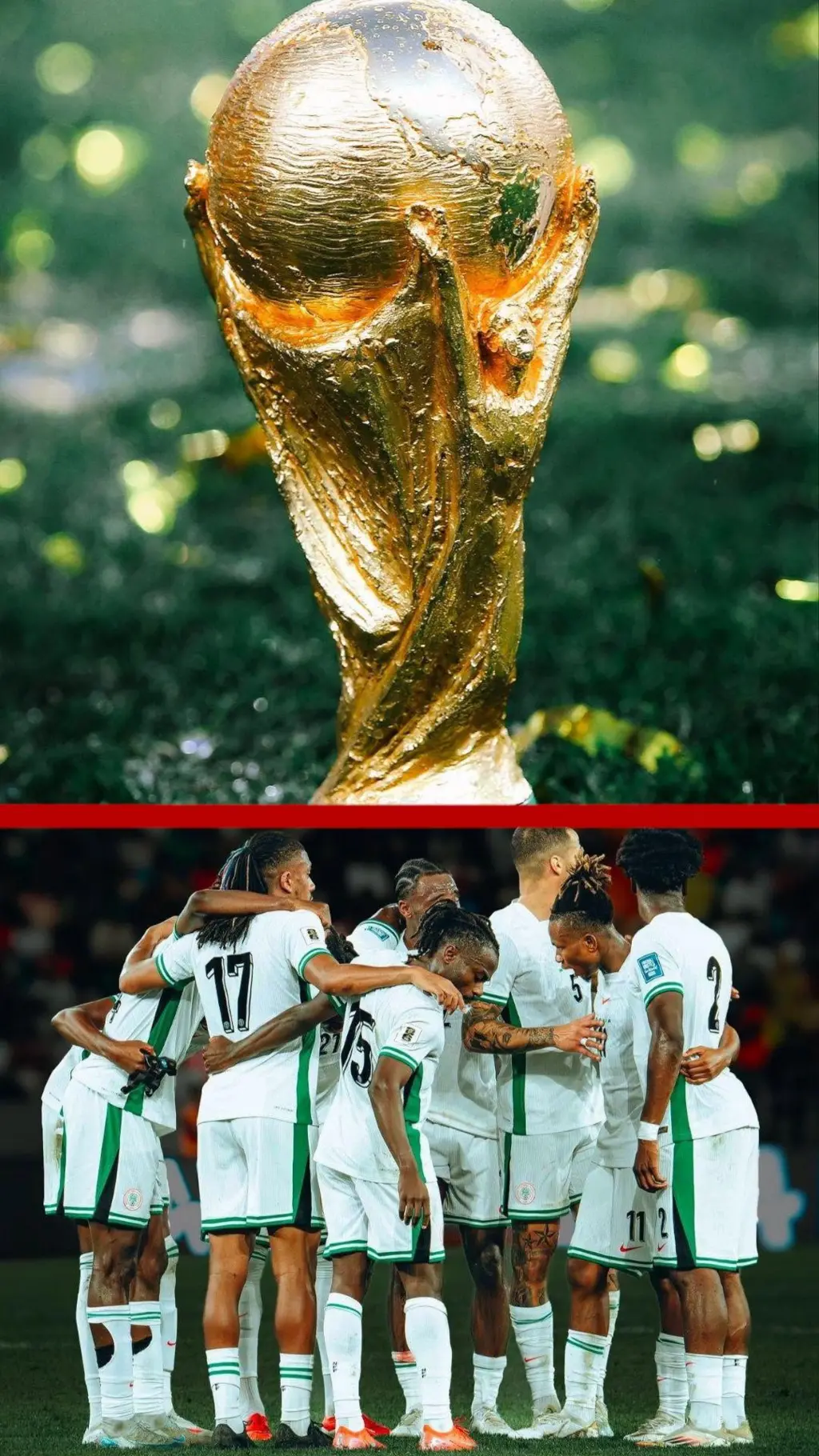 Ụzọ ọzọ Naịjirịa ga-esi gaa Iko Mbaụwa afọ 2026