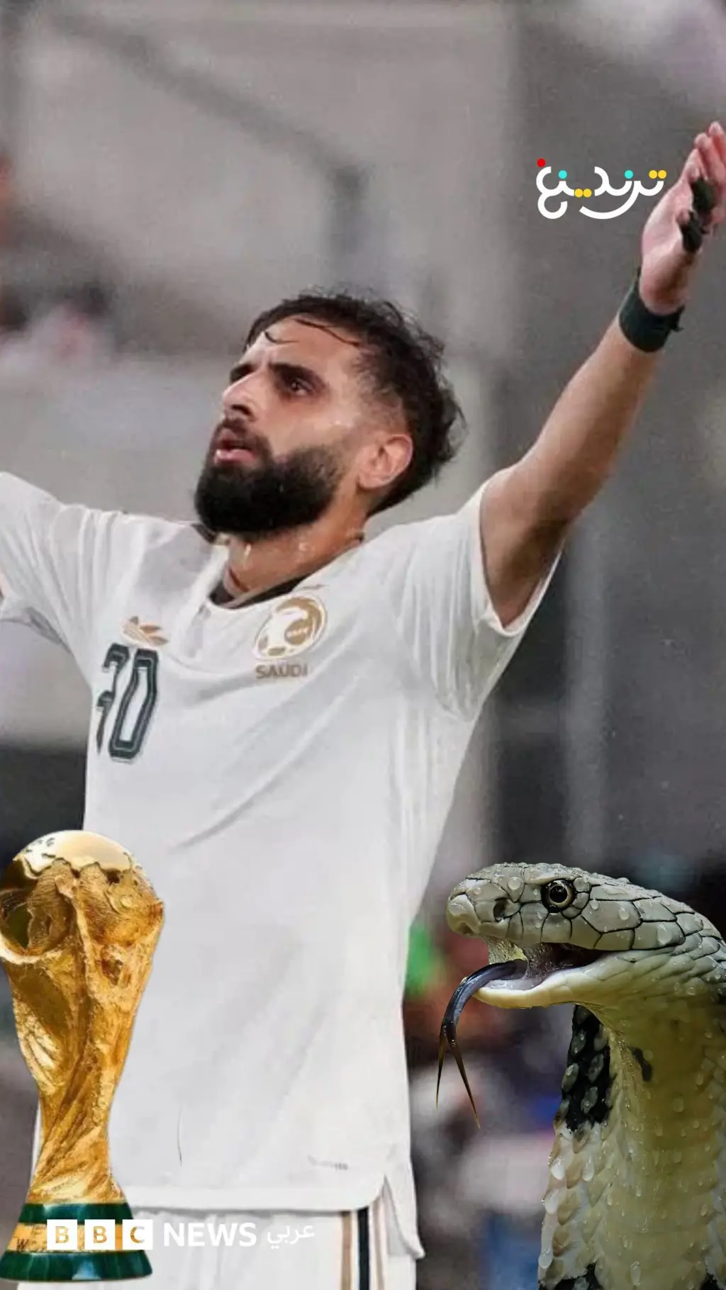 كأس العالم 2026…أفاع وعواصف رعدية وفيروس إيبولا.. تحديات تواجهها المنتخبات في كأس العالم 