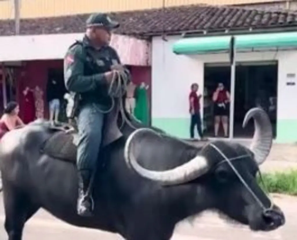 Um policial montado em um búfalo