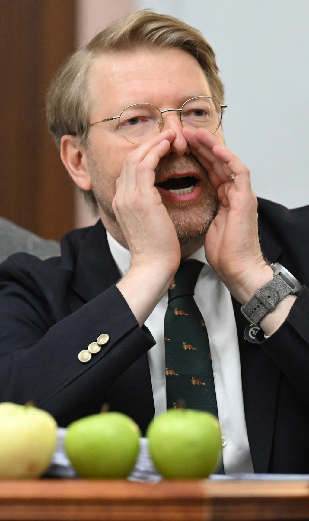 Николай Рыбаков, партия Яблоко
