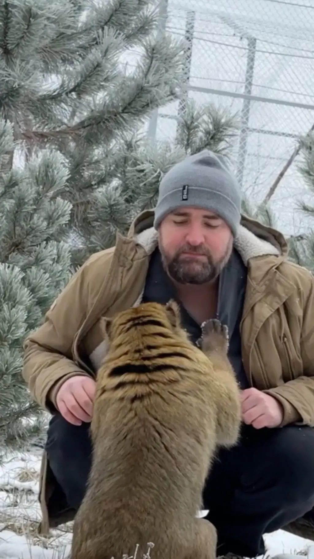 بیزو او څښتن یې ناست دي