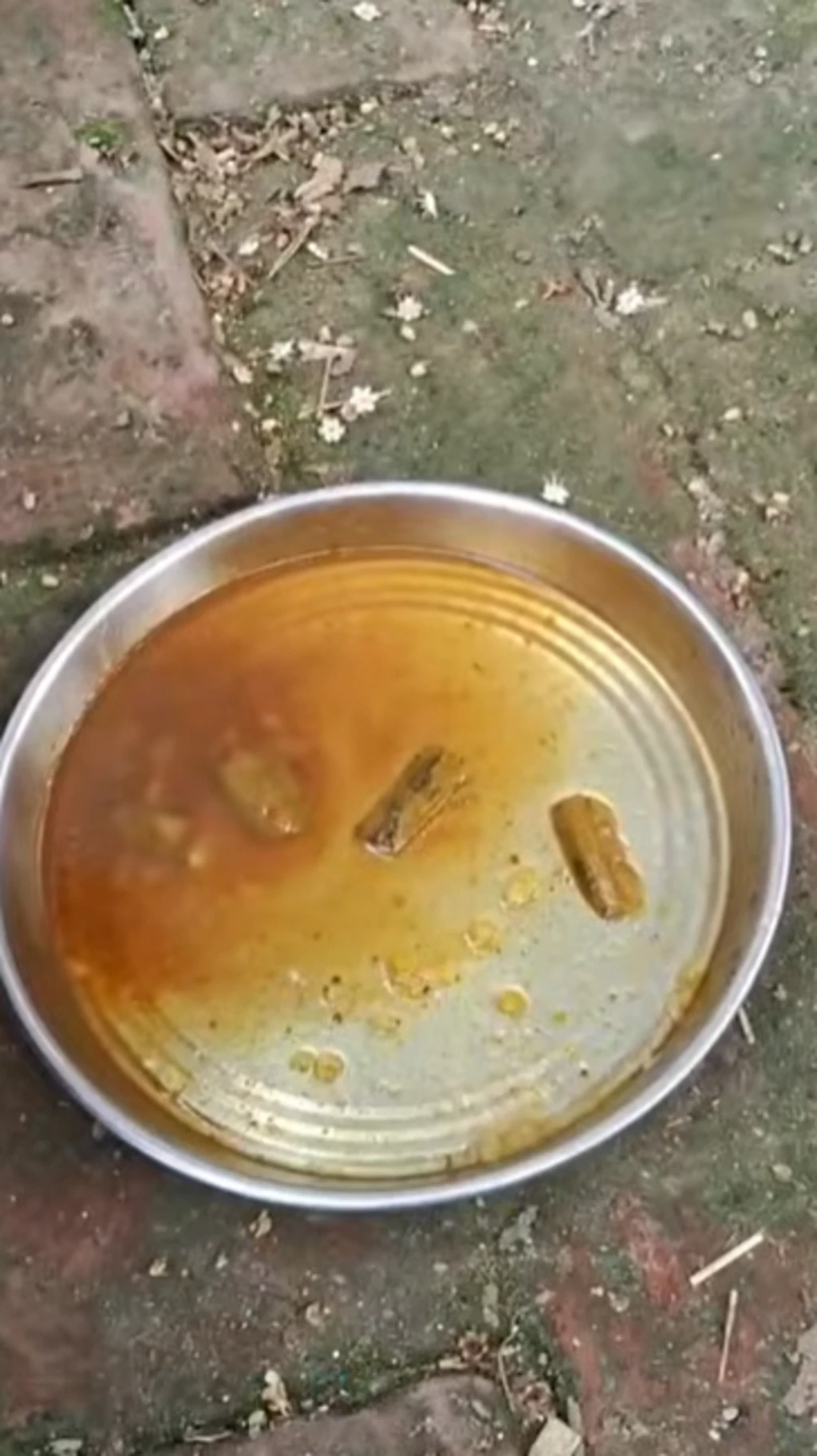 इस मिड-डे मील को लेकर क्या बोले स्कूल के बच्चे 