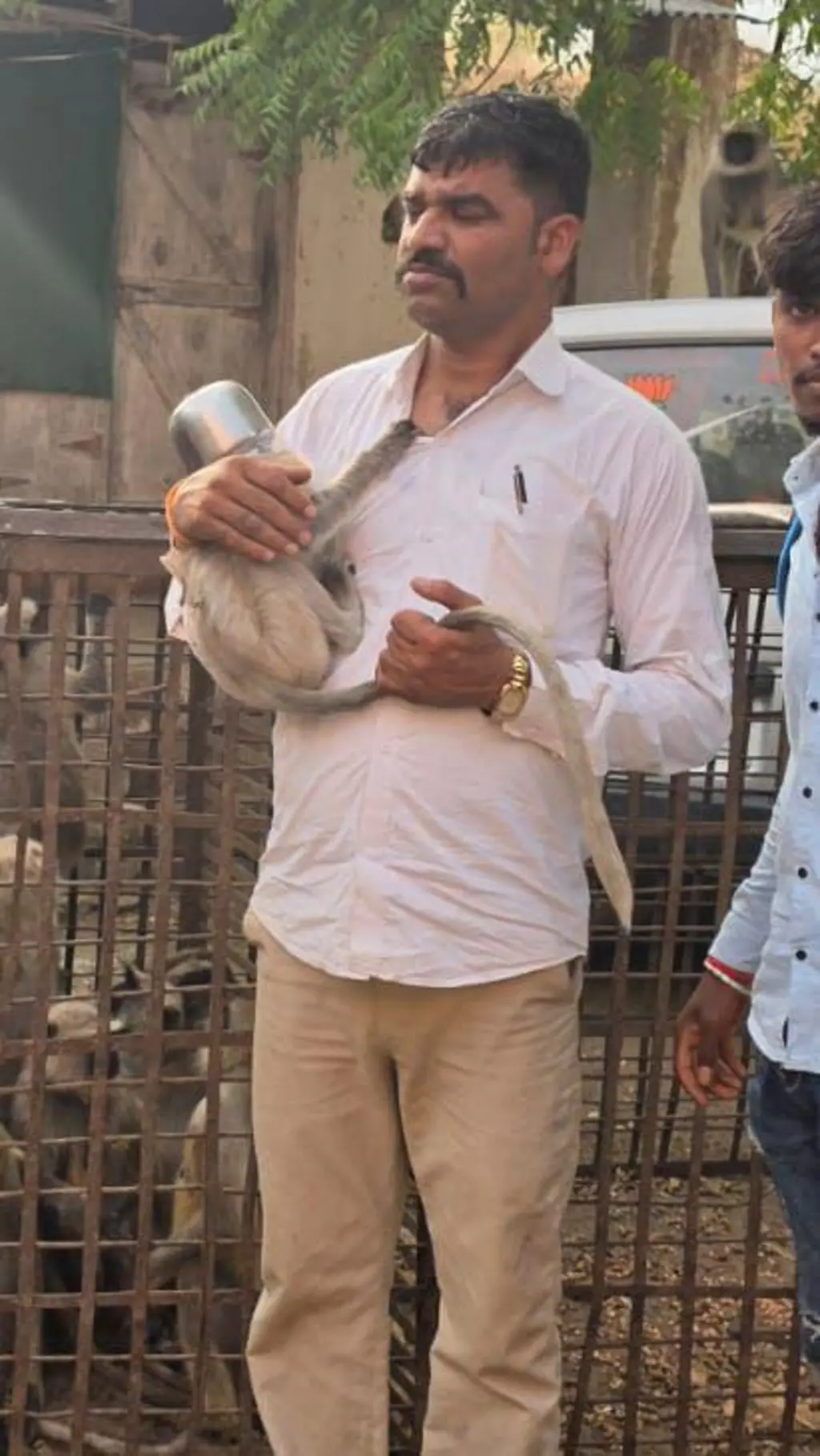 माकड