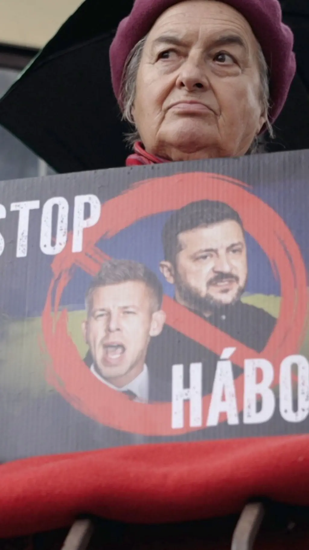 Портрет Зеленського