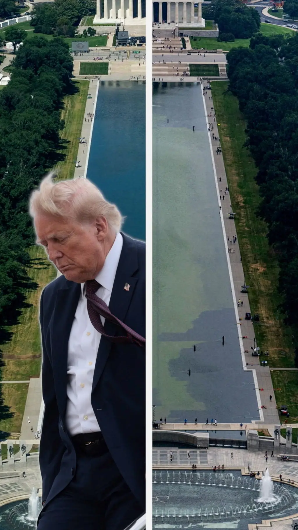 Дональд Трамп на фоне Зеркального бассейна