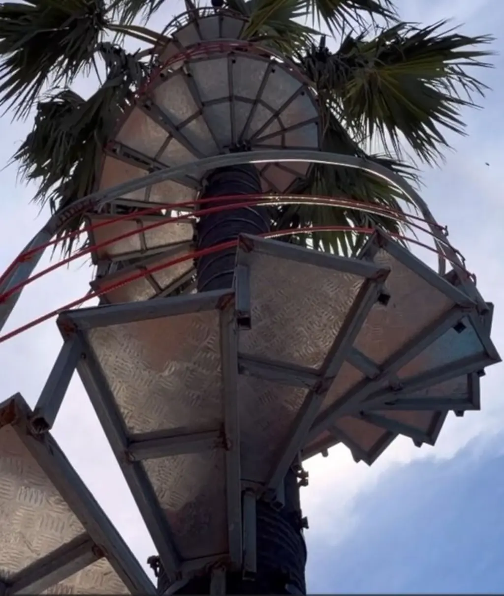 PalmTreeSteps