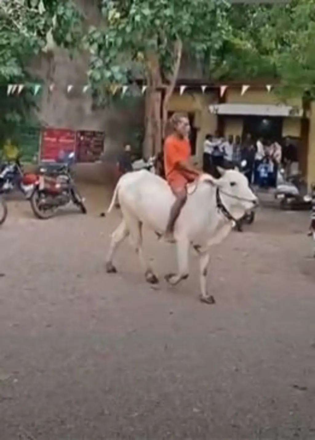 મહારાષ્ટ્રમાં આ ખેડૂત બળદ લઈને સરકારી ઑફિસમાં કેમ ઘૂસી ગયા?