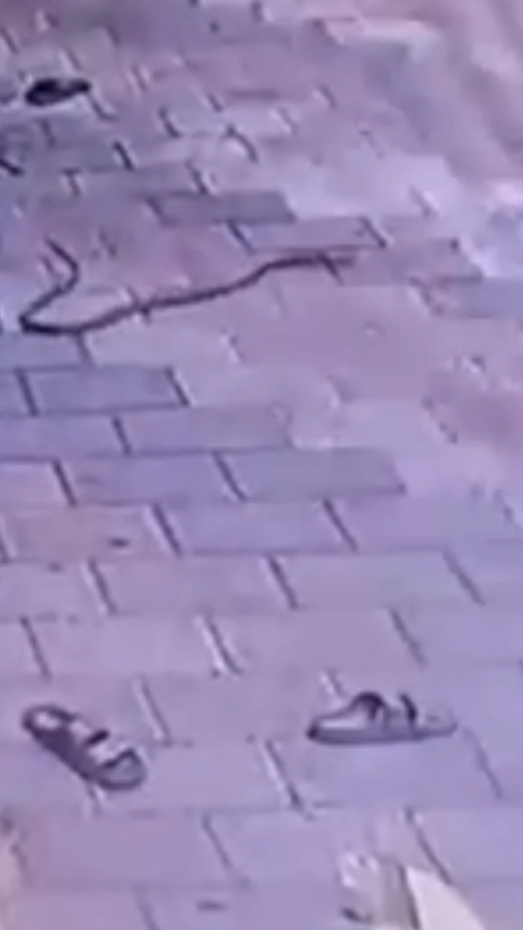 காணொளி: ஸ்கூட்டர் அருகே சென்ற சிறுவன் - சீறிய பாம்பு