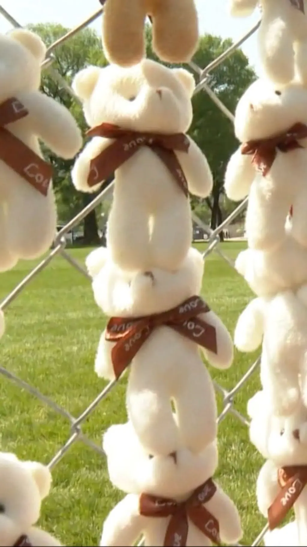 ведмедики як війна