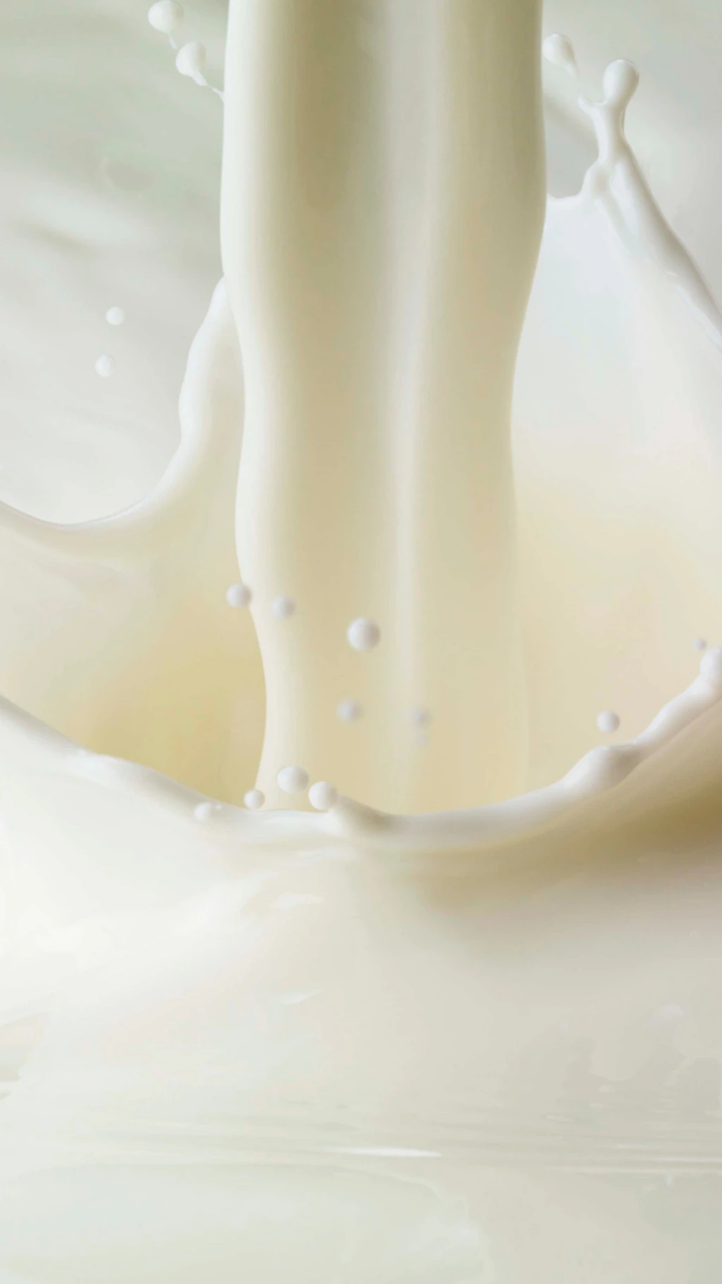 બીબીસી ગુજરાતી