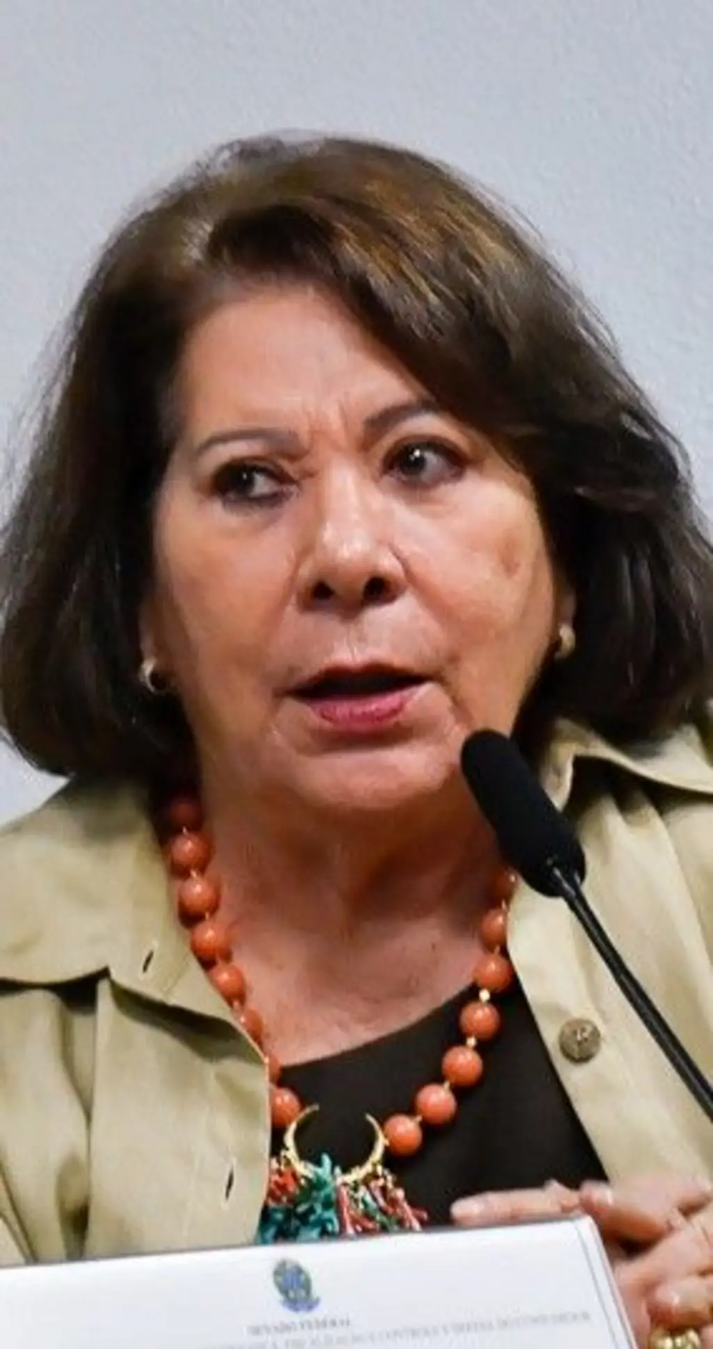 Eliana Calmon falando em um microfone