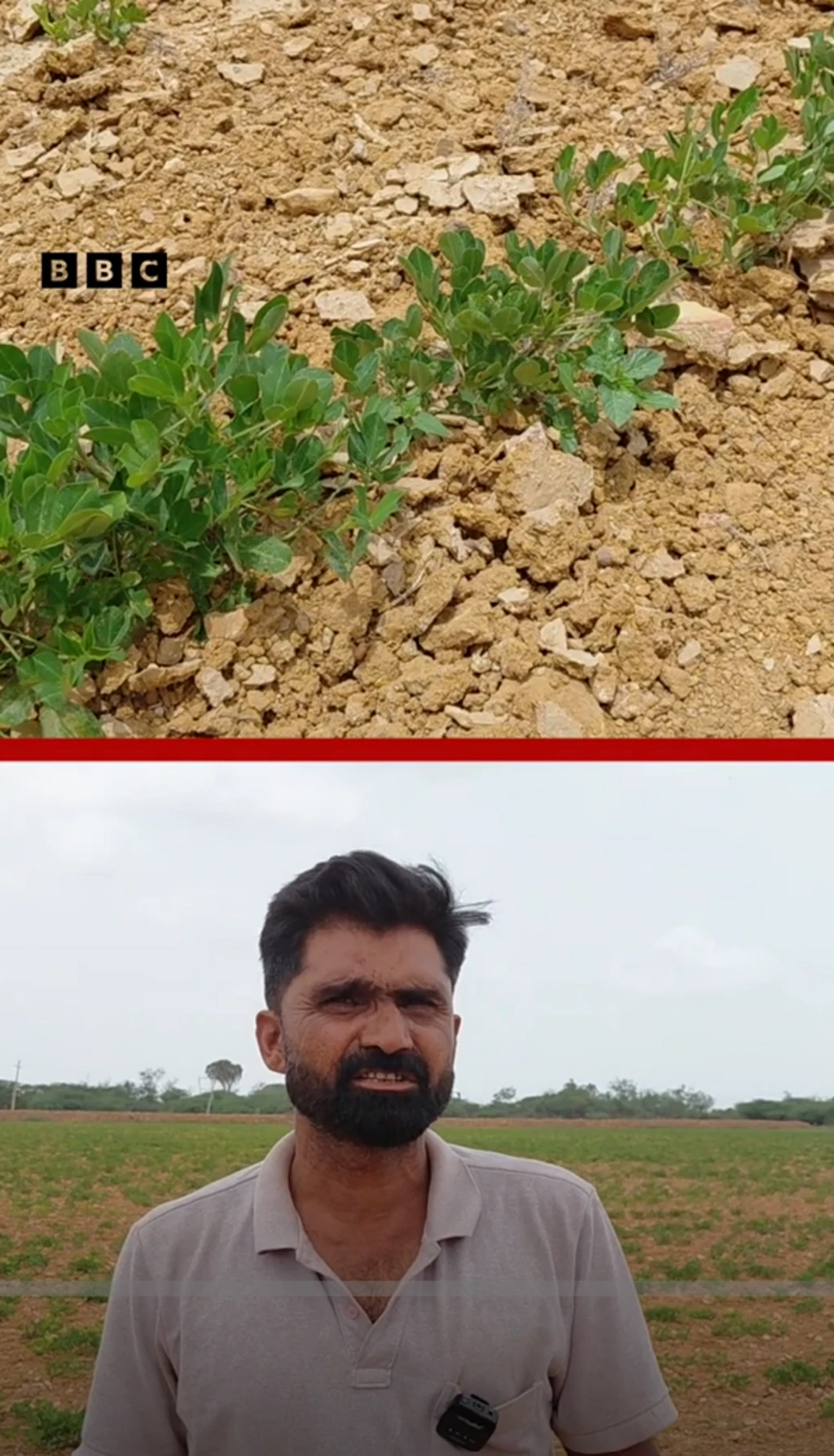 gujarat, devbhoomi dwarka, ગુજરાત, દેવભૂમિ દ્વારકા, બીબીસી ગુજરાતી