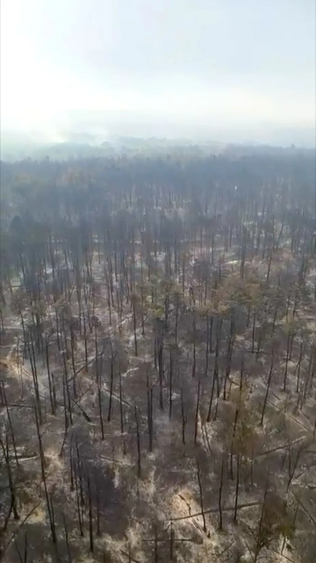 požar u deliblatskoj peščari