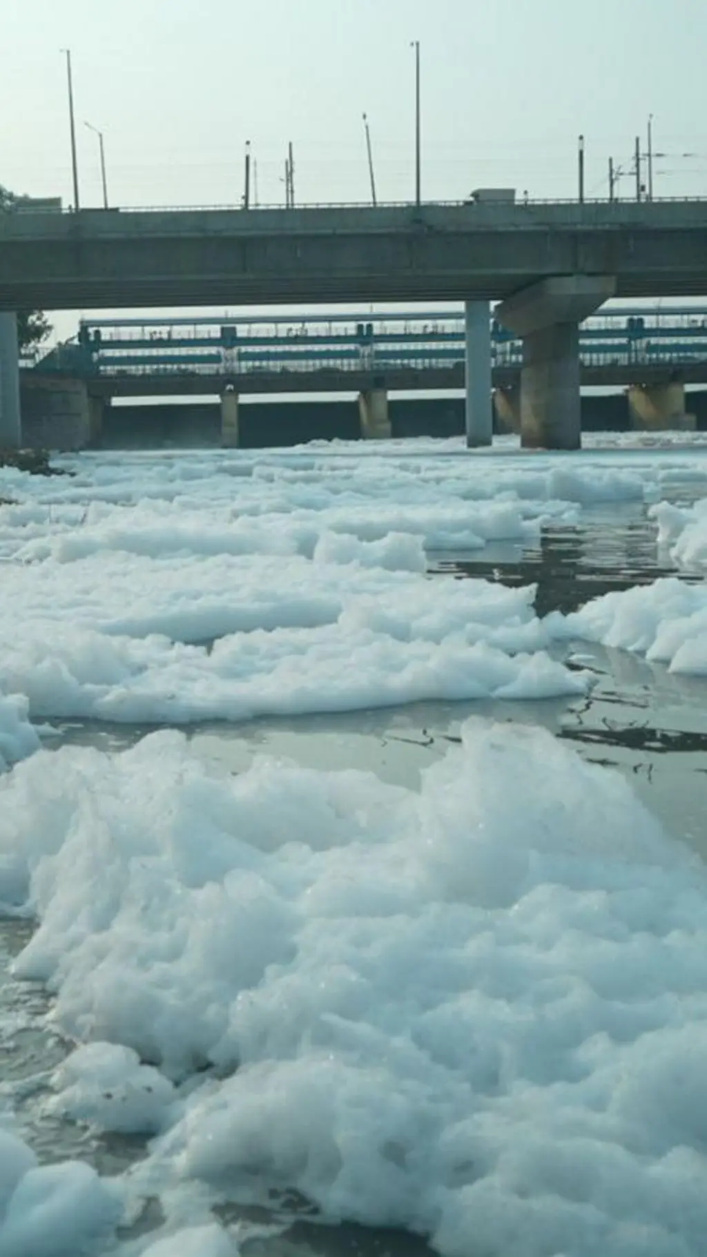 River Jamna
