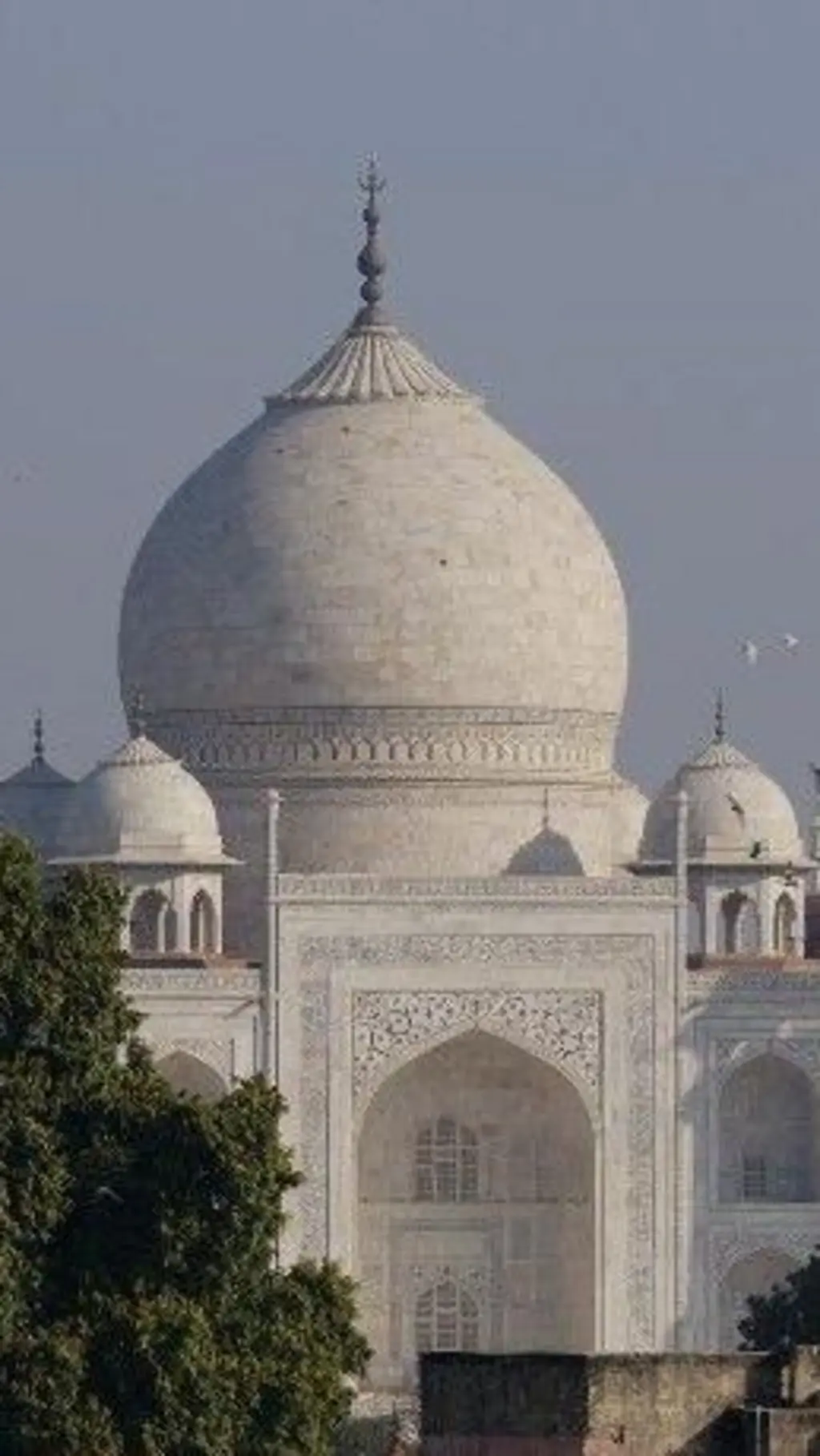 تاج محل
