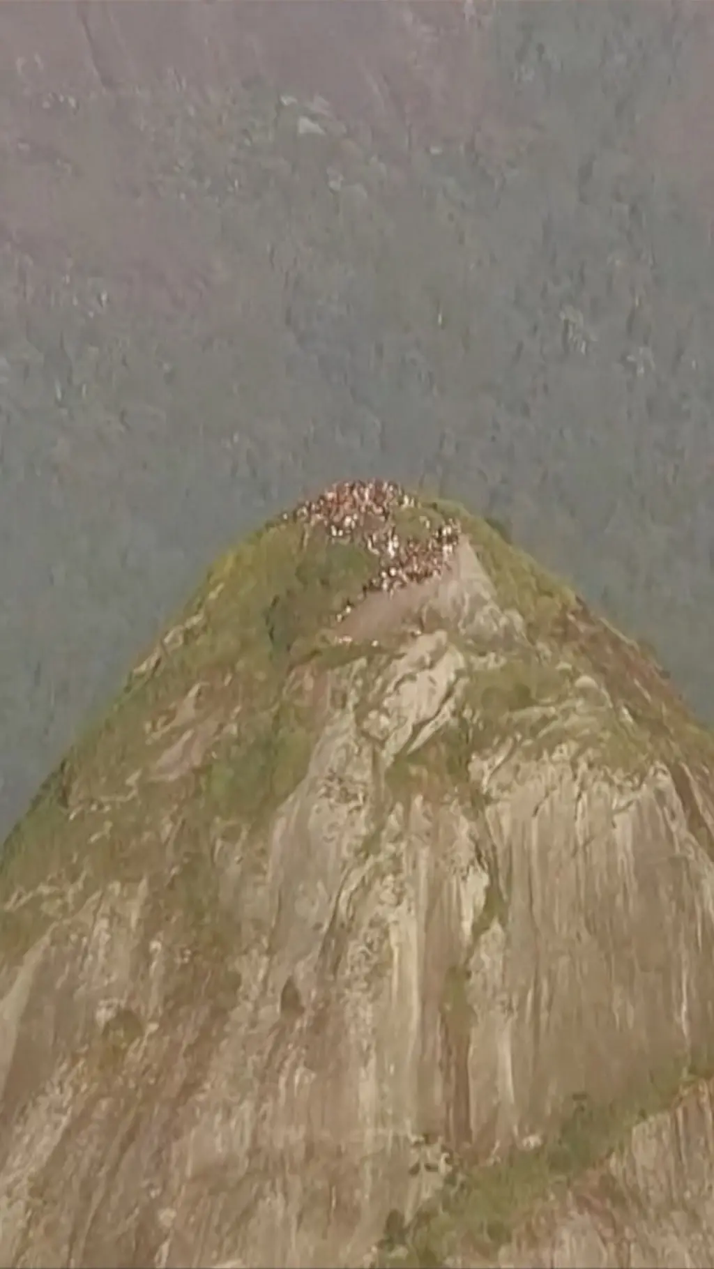 Vrh brda u Rio de Žaneiru