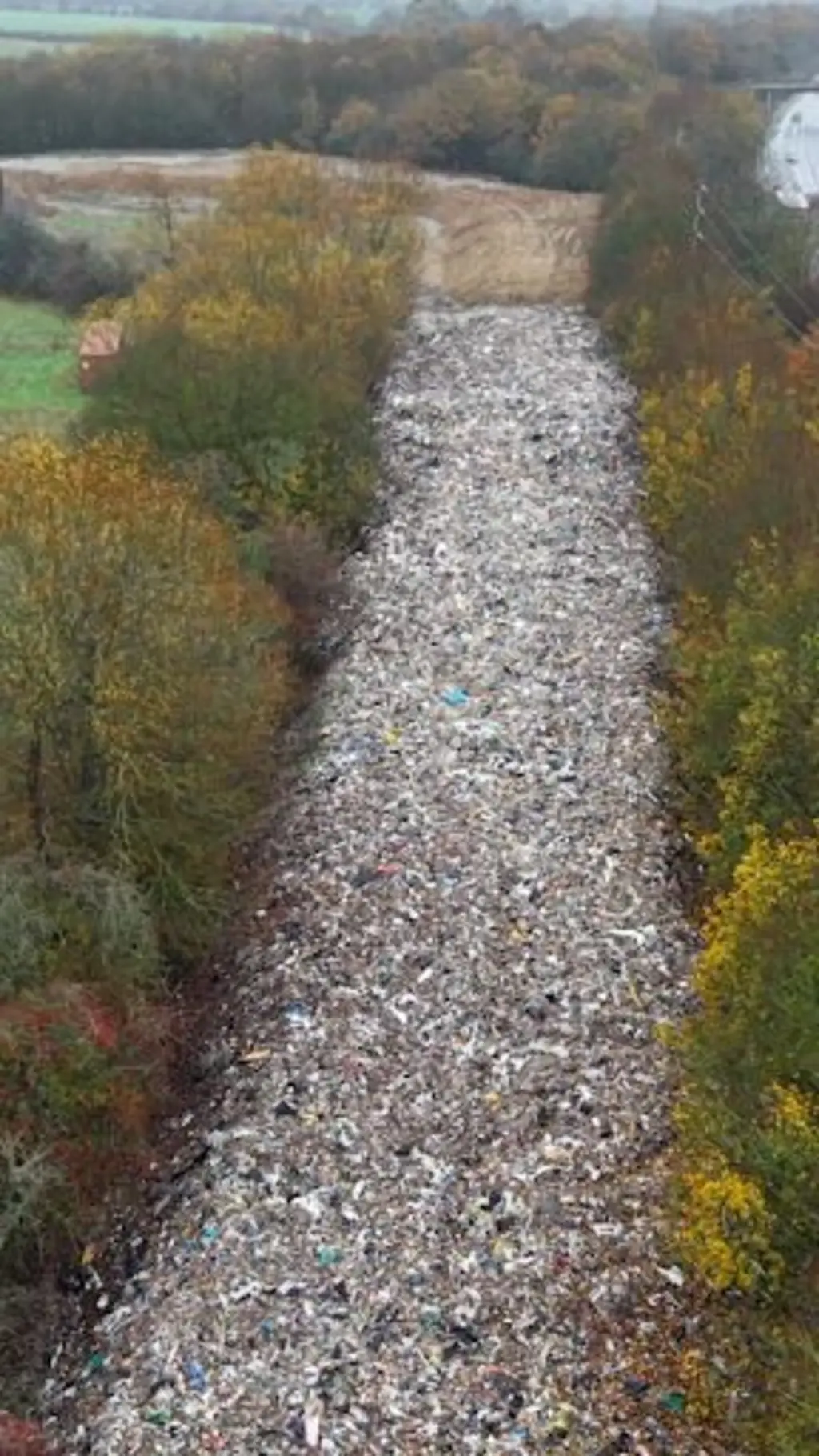 برنامج ترندينغ