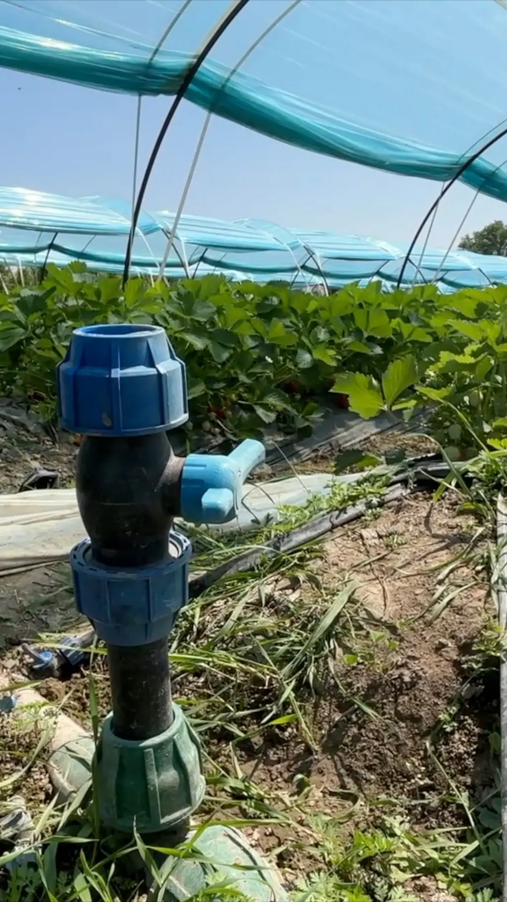 drip irrigation system
