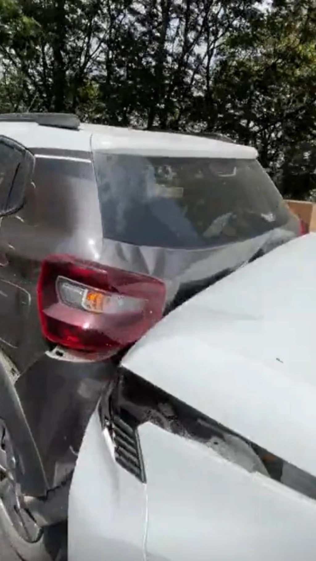 બીબીસી ગુજરાતી