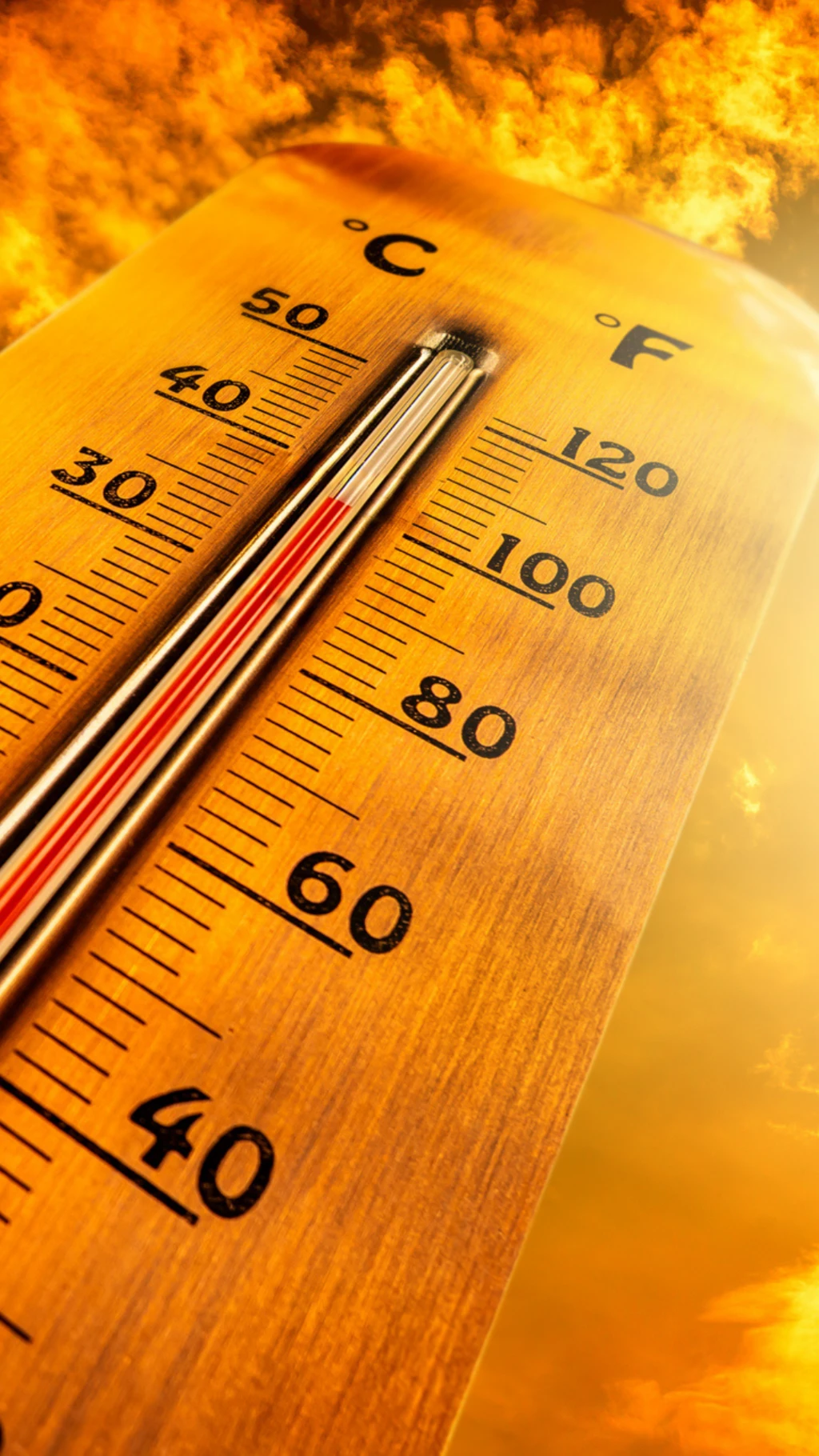 બીબીસી ગુજરાતી